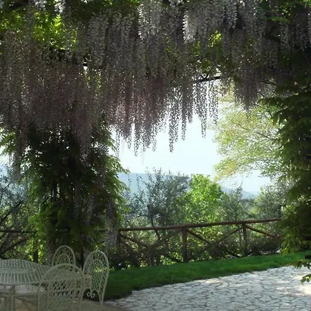 Rose Hill Cineto Romano