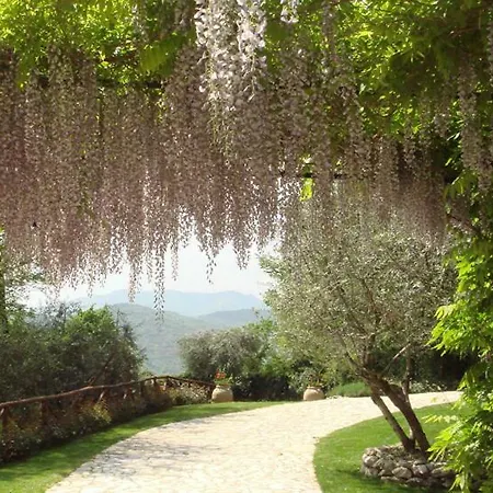 Rose Hill Villa Cineto Romano